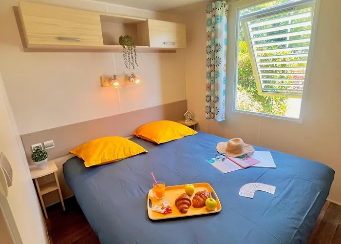 Le Perigord 营地 Saint-Astier (Dordogne)